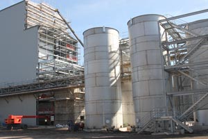 New Britain Oils