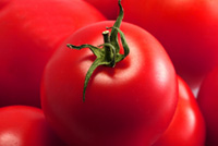 Food sector